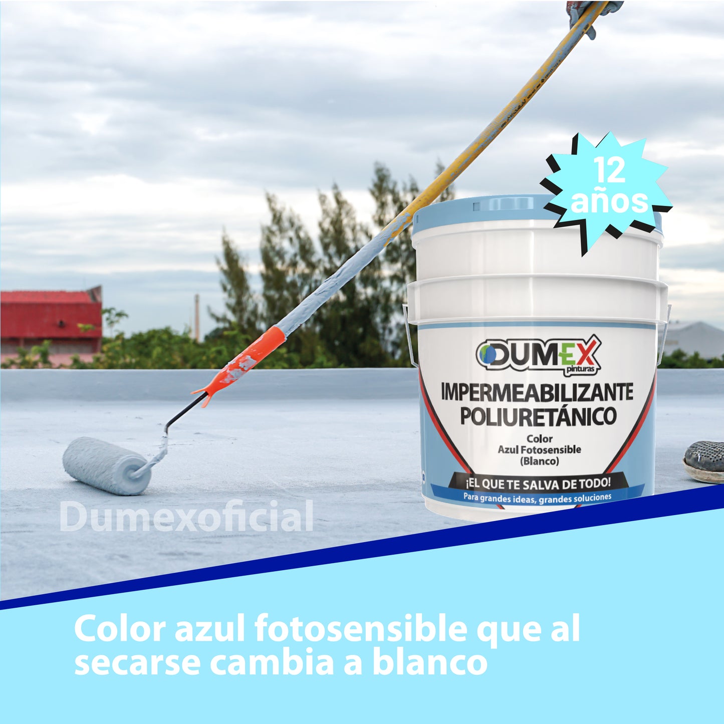 Impermeabilizante Dumex 12 Años De Máxima Protección (19l)